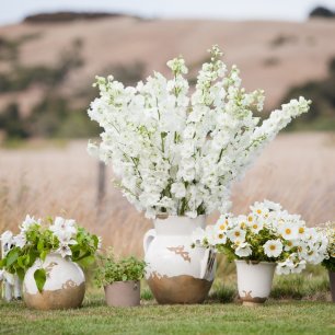 Идеи для свадьбы